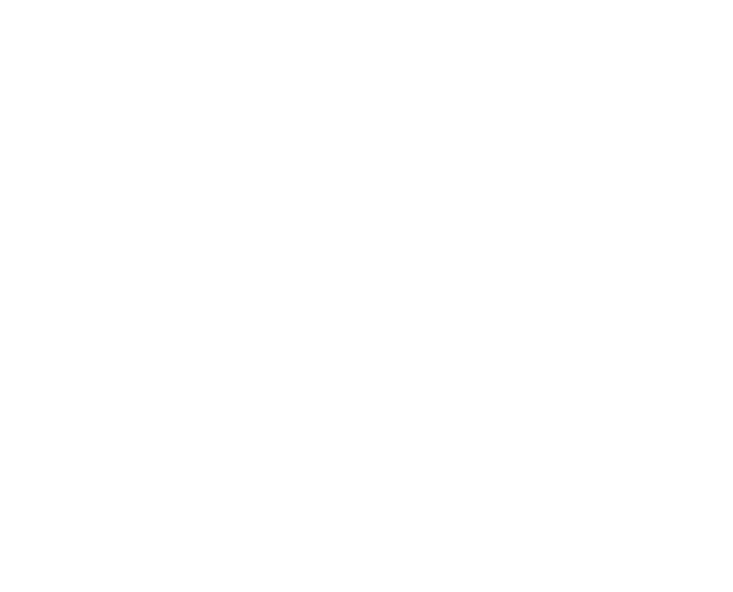 Texas Elite Artifical Turf OG1